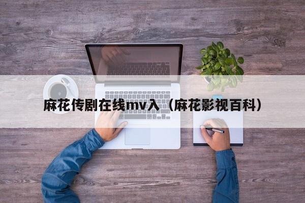麻花传剧在线mv入(麻花影视百科)