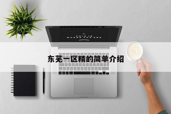东芜一区精的简单介绍